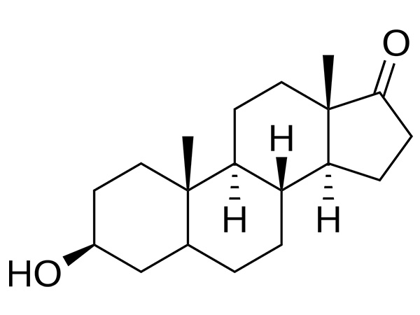 The Journey of Epiandrosterone: From Synthesis to Supplements