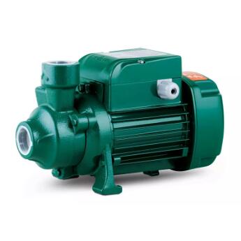 Understanding Peripheral Pumps: A Comprehensive Guide to Features and Applications