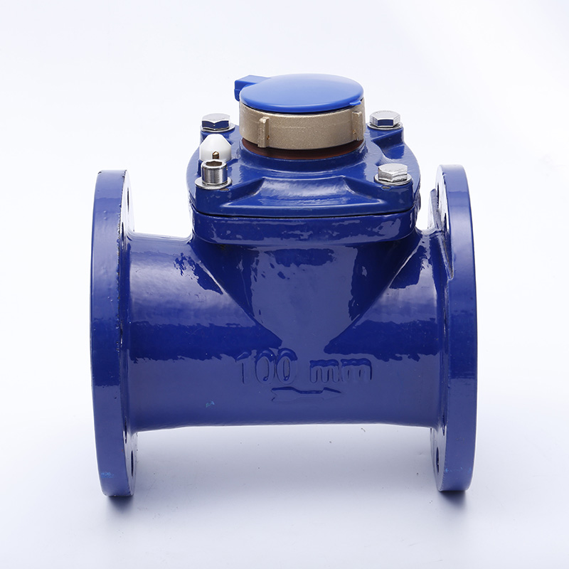 Why Choose the Woltmann Industrial Flange Water Meter?