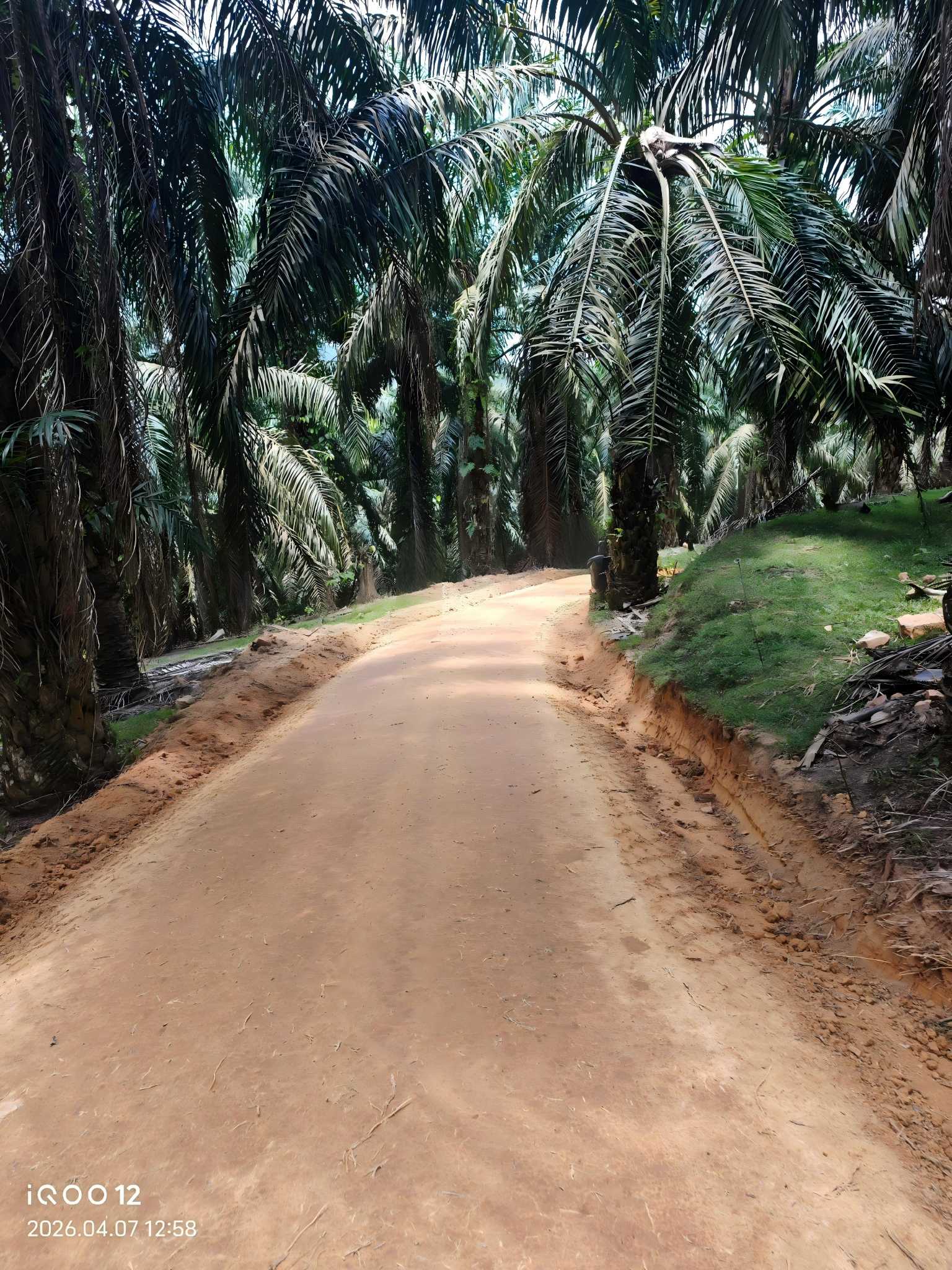 Polymer Soil Stabilizer for Road Construction: Unlocking Stronger, Longer-Lasting Pavements