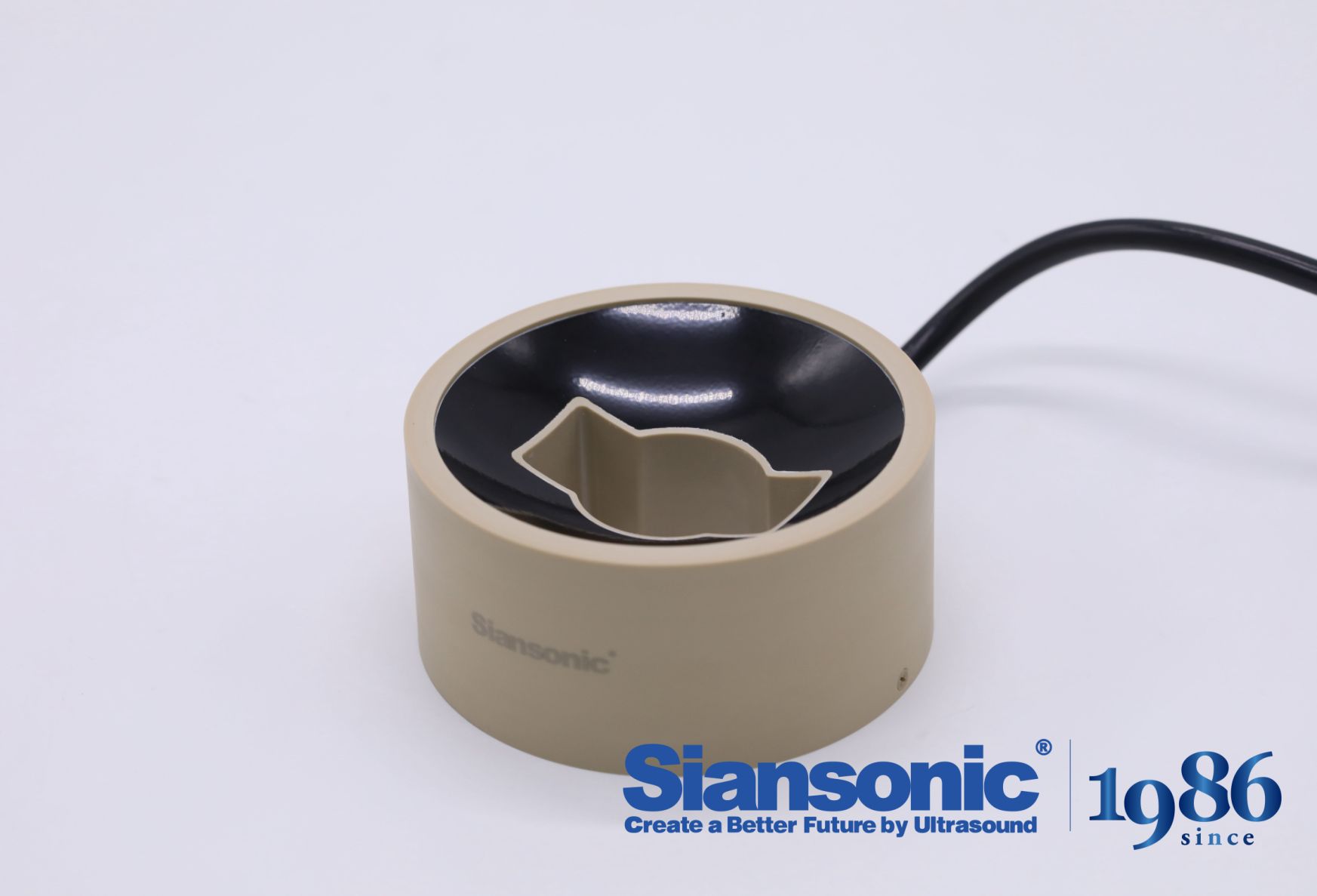Custom tFUS Transducer Design for Targeted Brain Stimulation